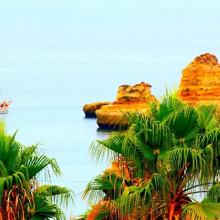 Amazing House With Balcony Appartement